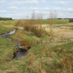 6. Survey-River Medway