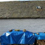 9. Survey-Nail Sick, very small Scots Slates